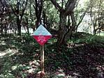 IMG_20190609_152345