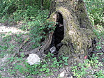 SAM_4828