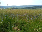 IMG_20190610_114107