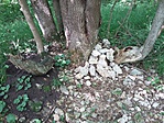 20190612_112335