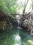 20190612_113049