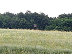 20190622_061320
