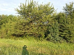 20190622_062226