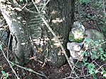 20190622_062126