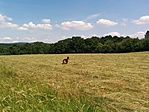IMG_20190618_134645