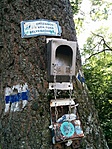 IMG_20190618_140026