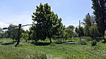 IMG_20190601_133301