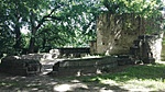 IMG_20190613_101046