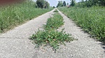 IMG_20190615_141452