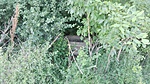 IMG_20190615_175558