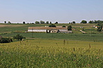 IMG_7165