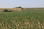 IMG_7170