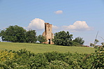 IMG_7254