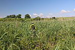 IMG_7256