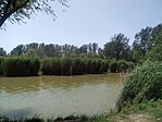 IMG_20190613_133141