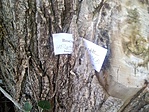 IMG_20190613_132935