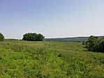 IMG_20190613_101927