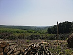IMG_20190613_102819