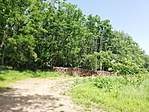 IMG_20190613_102147