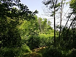 IMG_20190613_101647