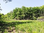 IMG_20190613_101847