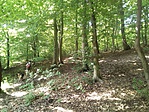 IMG_20190618_095619