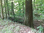 IMG_20190618_133037