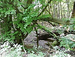 IMG_20190618_133401