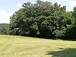 IMG_20190618_134246