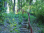P5260004