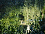 P5260009