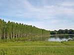 20190525_180153