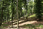 HER_6859_tn