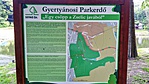 Gyertyános parkerdő