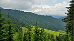 Panoráma