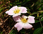 P1160267