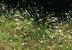 P1160335