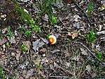 P1160351