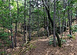 P1160353
