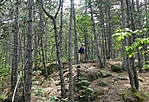 P1160354