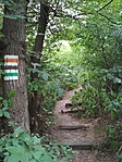 IMG_20190713_184853