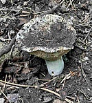 266A5649-E691-4371-8FD4-147BA87FB1D6