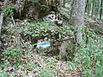 DSCN6643