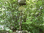 DSCN6645