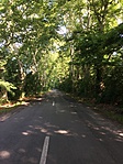 IMG_9400