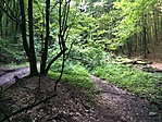 IMG_9426