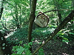 DSC03098