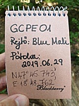 2019-07-06 14.11.01R