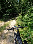2019-07-06 14.04.44R