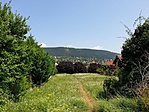 2019-07-30 12.22.02R